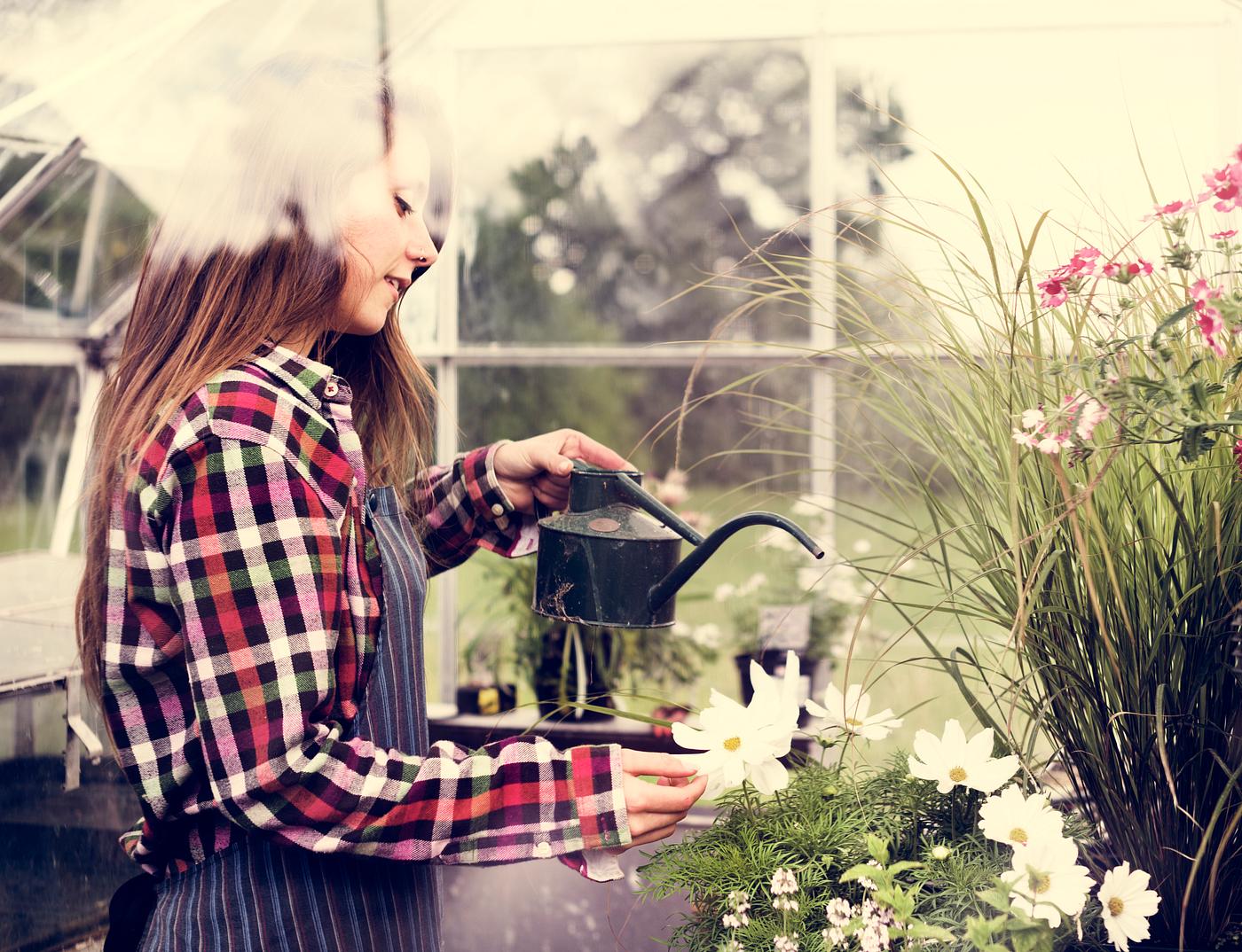 arboretum, backyard, bloom, blooming, botanical, botany, country, countryside, cultivate, cultivating, flora, garden,... arboretum, backyard, bloom, blooming, botanical, botany, country, countryside, cultivate, cultivating, flora, garden,...