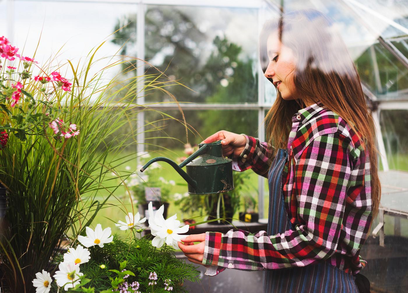 Young woman in the glass greenhouse Young woman in the glass greenhouse
