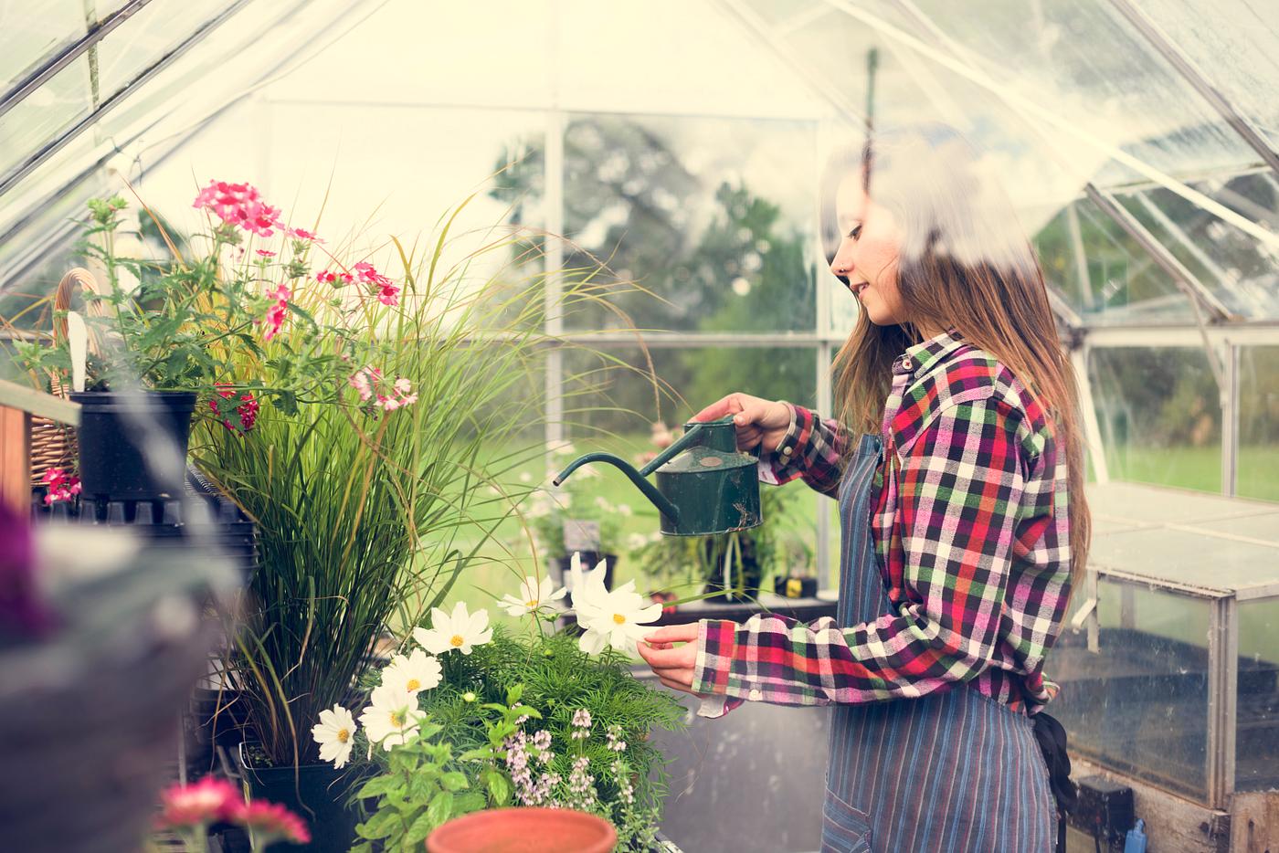 arboretum, backyard, bloom, blooming, botanical, botany, country, countryside, cultivate, cultivating, flora, flower, garden... arboretum, backyard, bloom, blooming, botanical, botany, country, countryside, cultivate, cultivating, flora, flower, garden...
