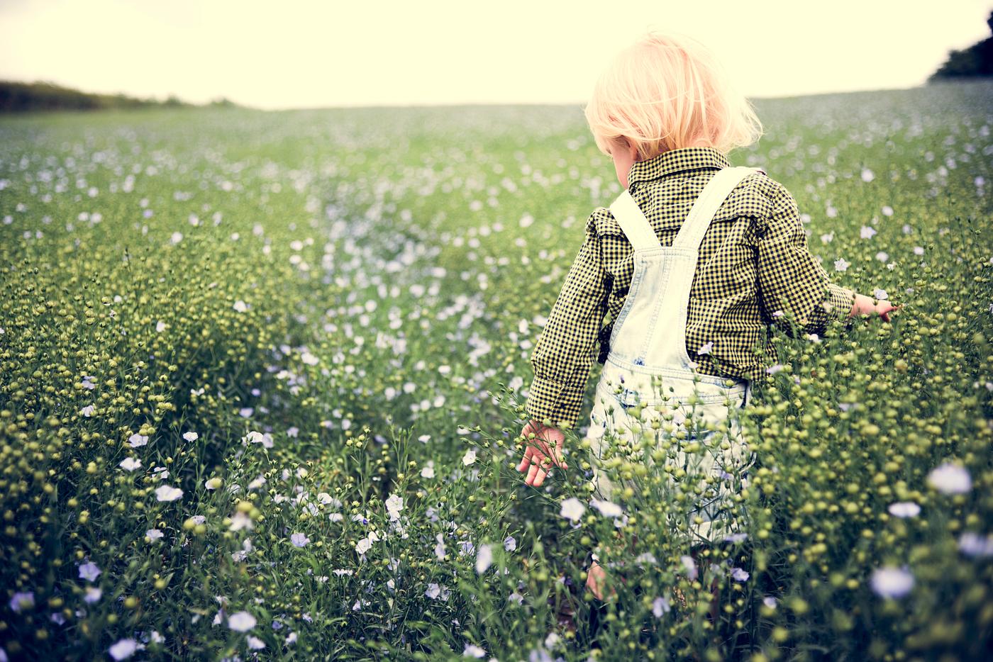 arboretum, backyard, bloom, blooming, botanical, botany, boy, country, countryside, cultivate, cultivating, field, flora,... arboretum, backyard, bloom, blooming, botanical, botany, boy, country, countryside, cultivate, cultivating, field, flora,...