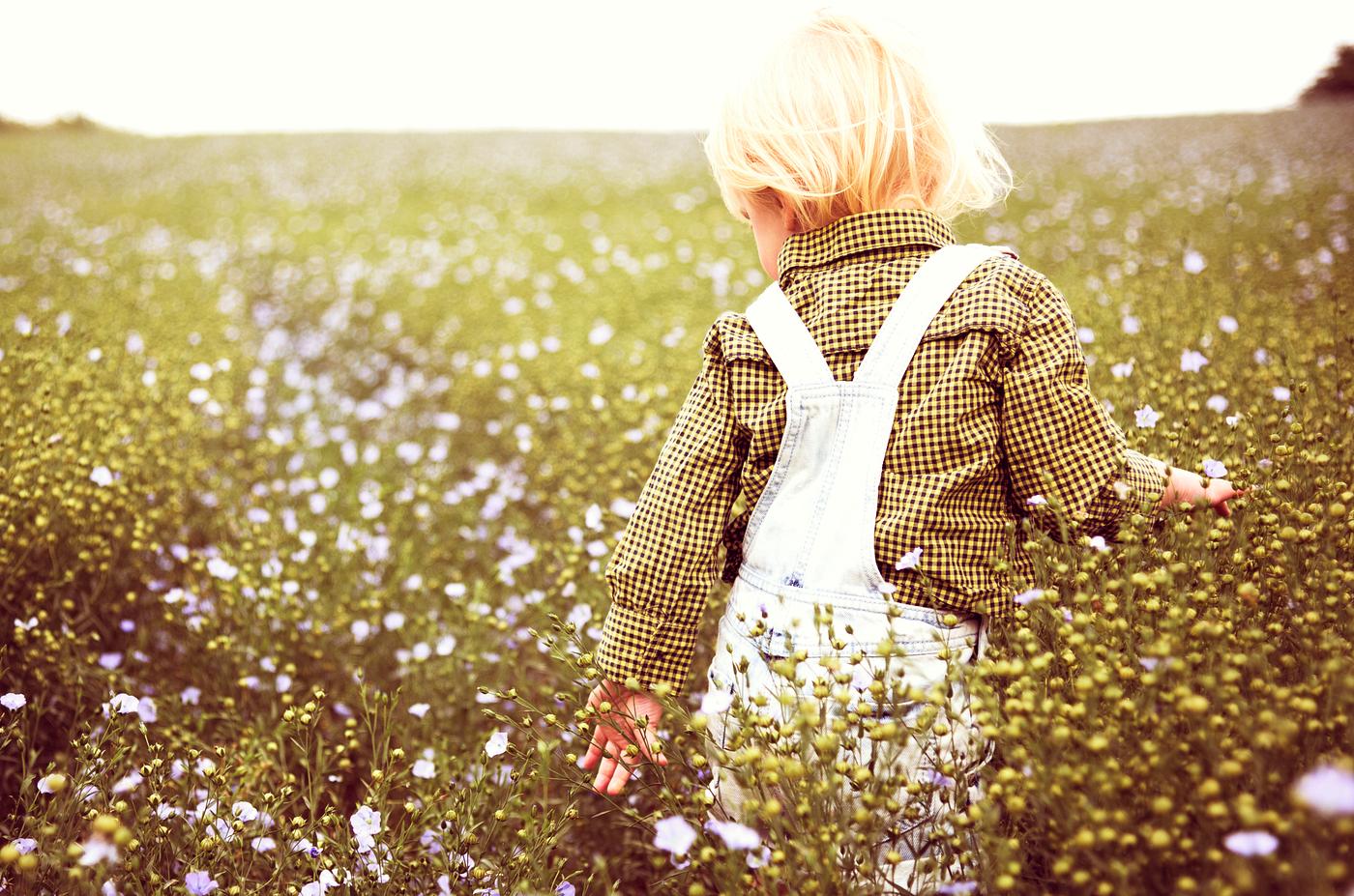 arboretum, backyard, bloom, blooming, botanical, botany, boy, country, countryside, cultivate, cultivating, field, flora,... arboretum, backyard, bloom, blooming, botanical, botany, boy, country, countryside, cultivate, cultivating, field, flora,...