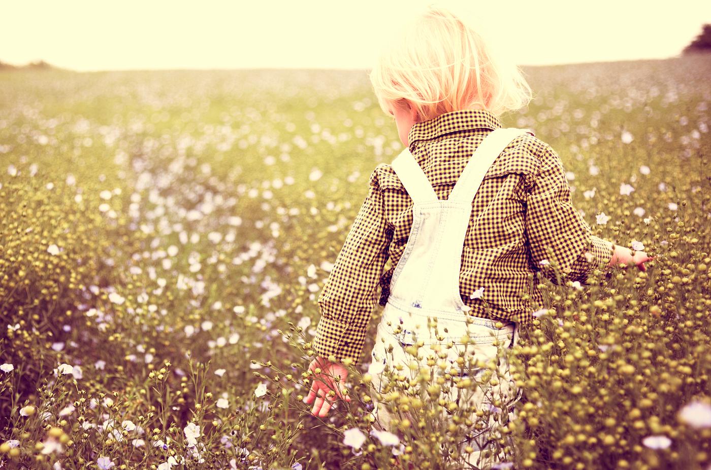 nature, arboretum, backyard, bloom, blooming, blue, botanical, botany, boy, child, children, country, countryside, cultivate... nature, arboretum, backyard, bloom, blooming, blue, botanical, botany, boy, child, children, country, countryside, cultivate...