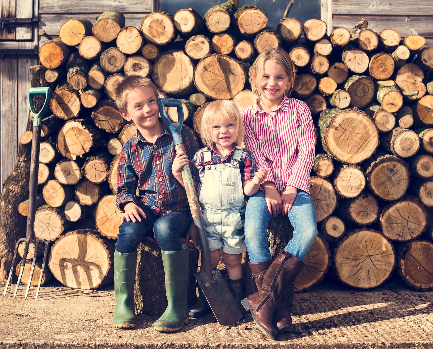 brother, chopped, countryside, cut, family, farmer, firewood, fuelwood, gardener, heap, log, lumber, lumberyard, nature,... brother, chopped, countryside, cut, family, farmer, firewood, fuelwood, gardener, heap, log, lumber, lumberyard, nature,...