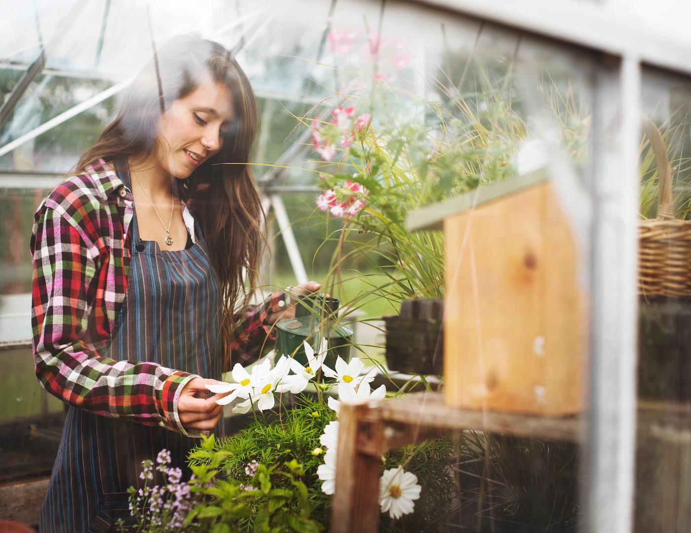 arboretum, backyard, bloom, blooming, botanical, botany, country, countryside, cultivate, cultivating, flora, garden,... arboretum, backyard, bloom, blooming, botanical, botany, country, countryside, cultivate, cultivating, flora, garden,...