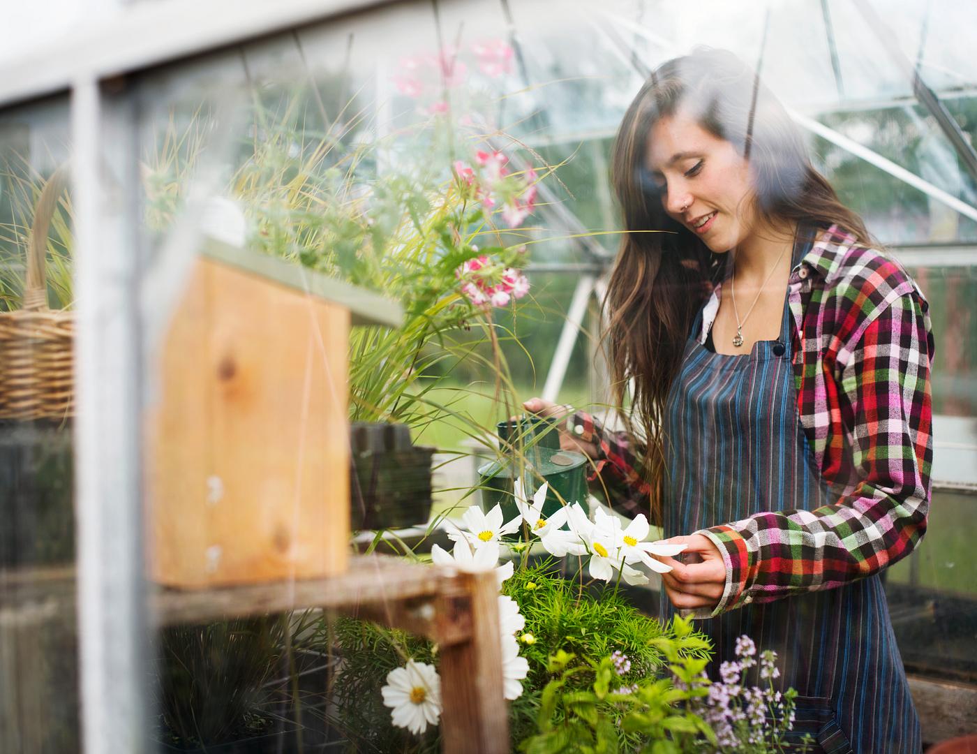 arboretum, backyard, bloom, blooming, botanical, botany, country, countryside, cultivate, cultivating, flora, garden,... arboretum, backyard, bloom, blooming, botanical, botany, country, countryside, cultivate, cultivating, flora, garden,...