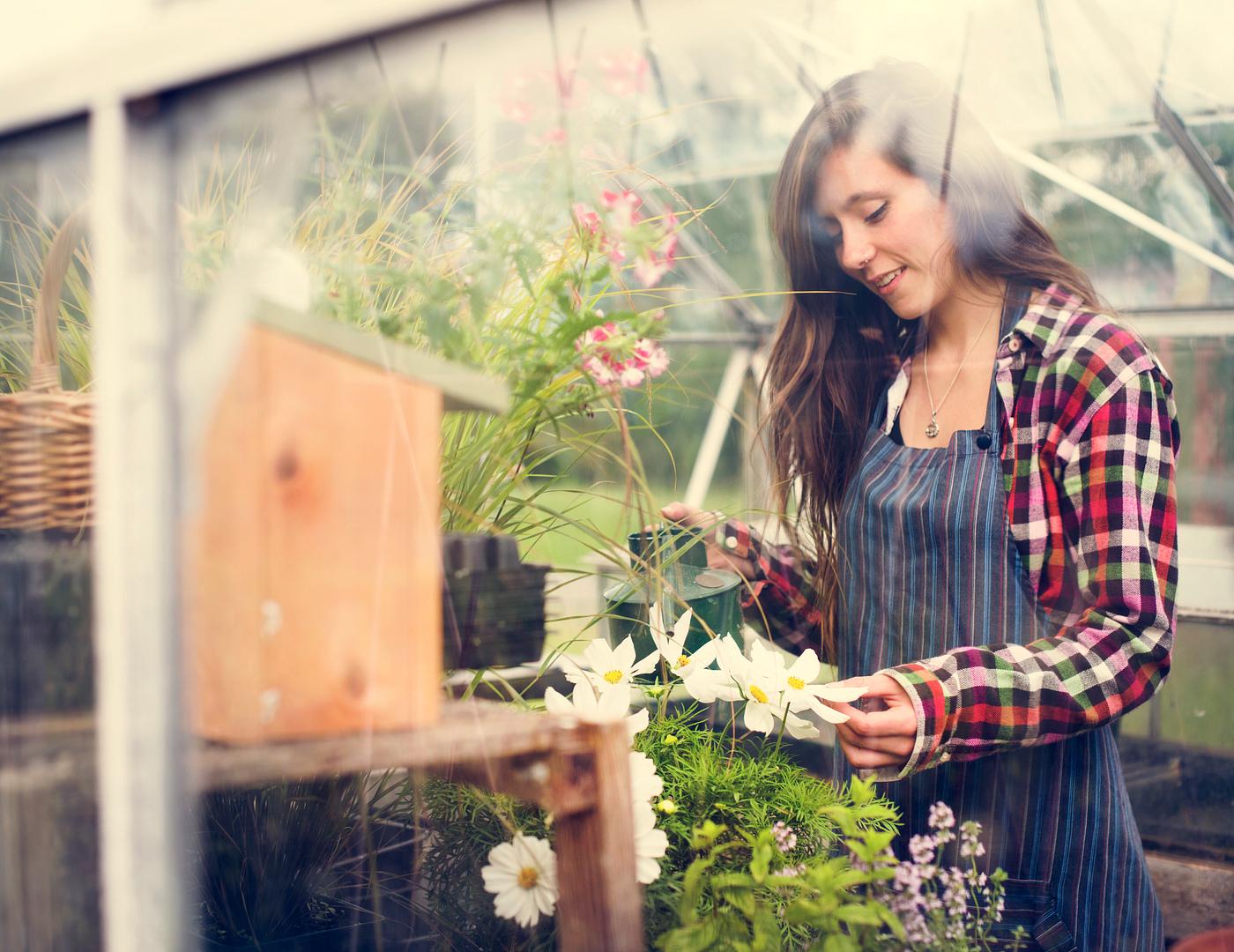 arboretum, backyard, bloom, blooming, botanical, botany, country, countryside, cultivate, cultivating, flora, garden,... arboretum, backyard, bloom, blooming, botanical, botany, country, countryside, cultivate, cultivating, flora, garden,...