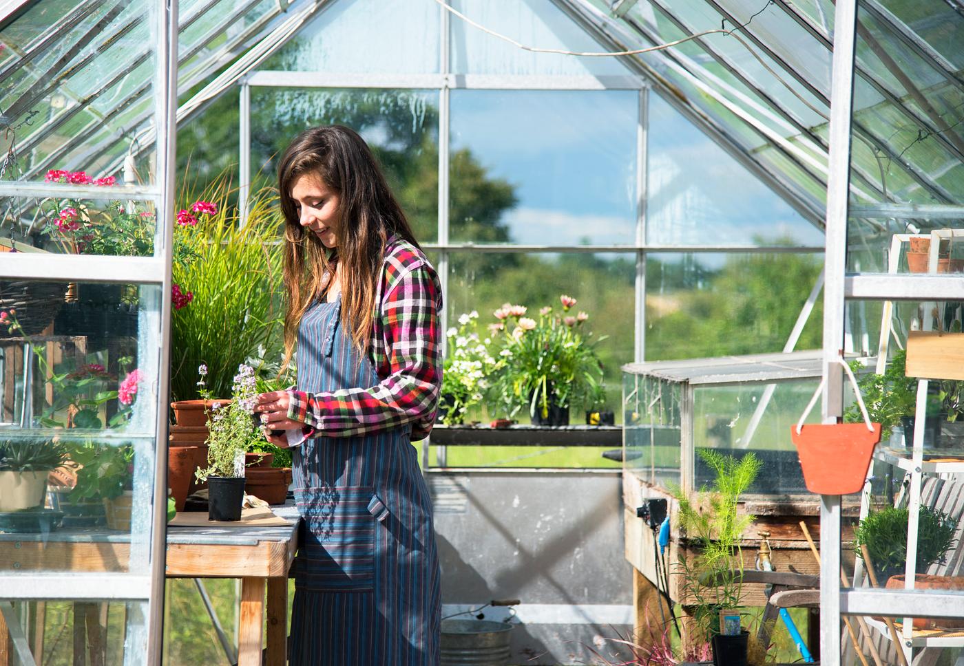 Young woman in the glass greenhouse Young woman in the glass greenhouse