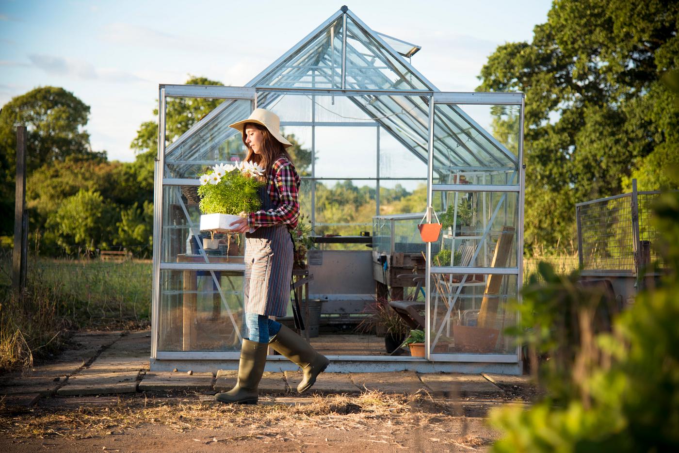 Young woman working at a glass greenhouse Young woman working at a glass greenhouse