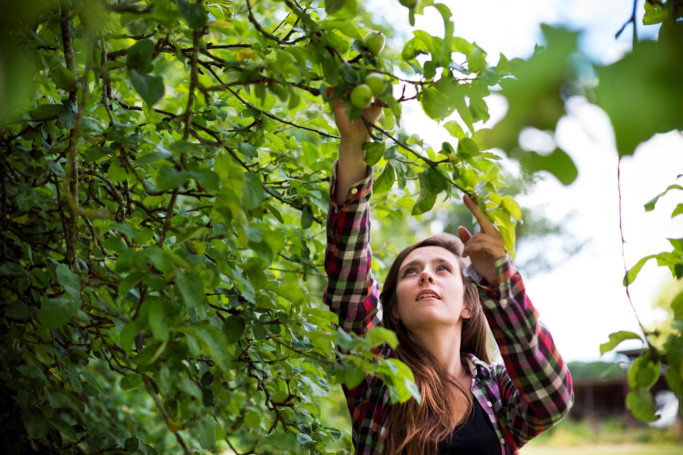 Cheerful young woman - alone, cheerful, expression, face, girl, green, happiness, nature, one, outdoors, smiling, woman,... Cheerful young woman - alone, cheerful, expression, face, girl, green, happiness, nature, one, outdoors, smiling, woman,...