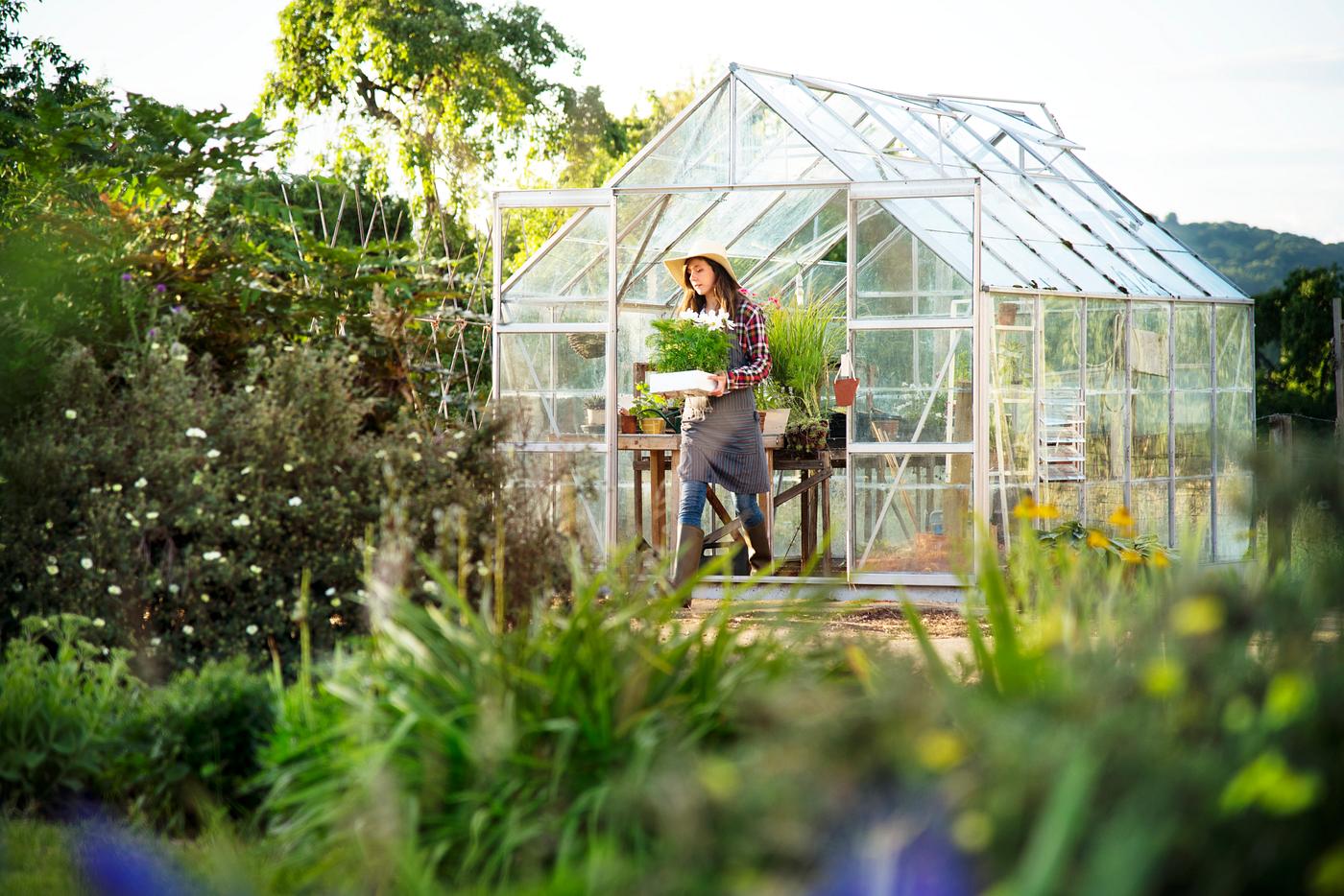Young woman working at a glass greenhouse Young woman working at a glass greenhouse