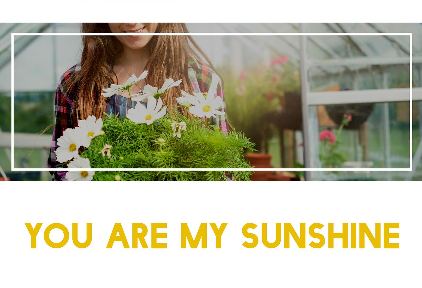 100% nature, always look on the bright side of life, apron, bloom, caucasian, dark blonde, female, flowerpot, flowers, fresh... 100% nature, always look on the bright side of life, apron, bloom, caucasian, dark blonde, female, flowerpot, flowers, fresh...