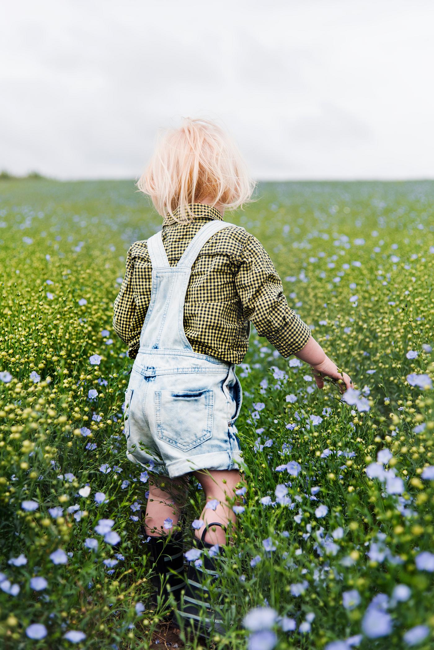 arboretum, backyard, bloom, blooming, blue, botanical, botany, boy, child, children, country, countryside, cultivate,... arboretum, backyard, bloom, blooming, blue, botanical, botany, boy, child, children, country, countryside, cultivate,...