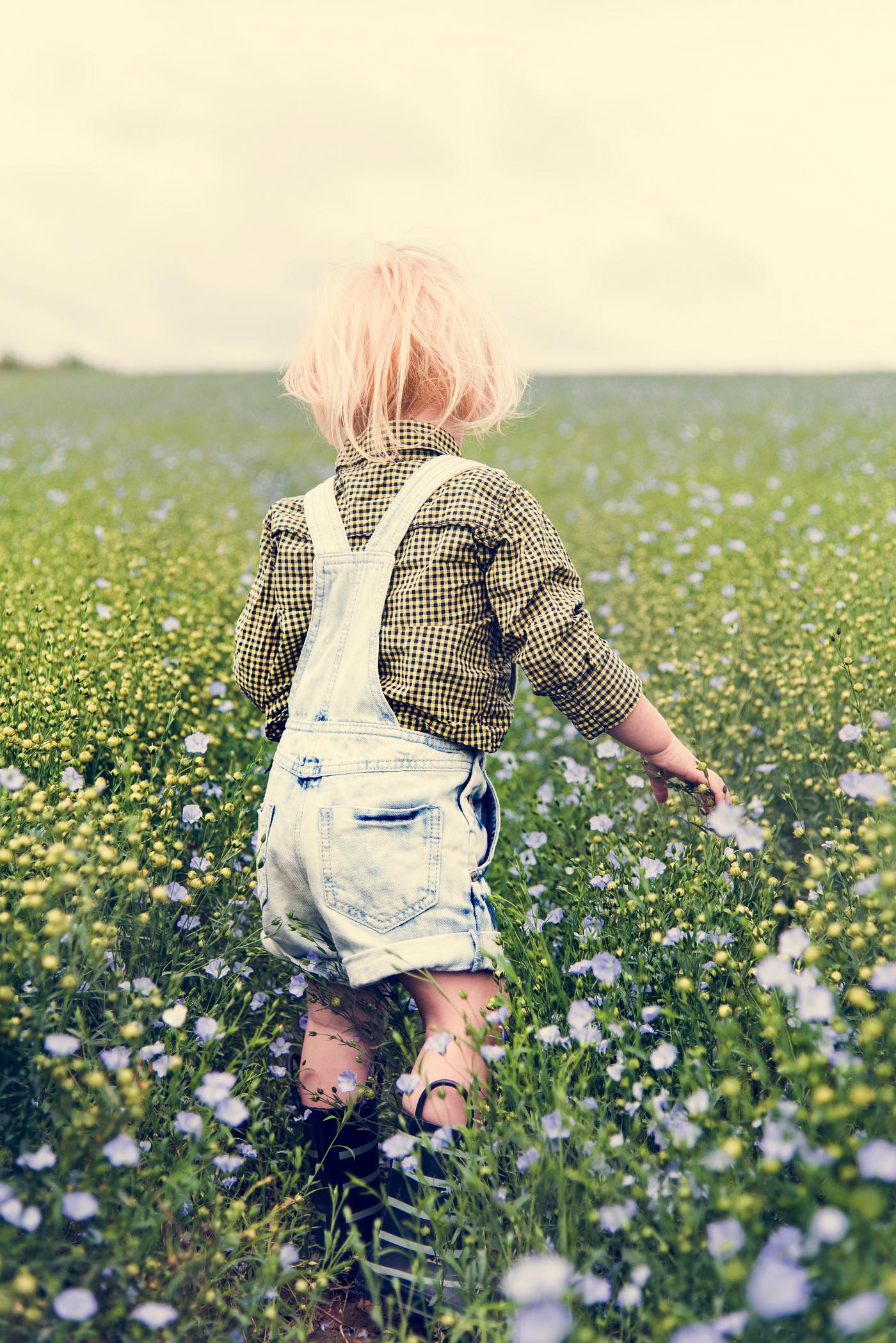 arboretum, backyard, bloom, blooming, blue, botanical, botany, boy, child, children, country, countryside, cultivate,... arboretum, backyard, bloom, blooming, blue, botanical, botany, boy, child, children, country, countryside, cultivate,...