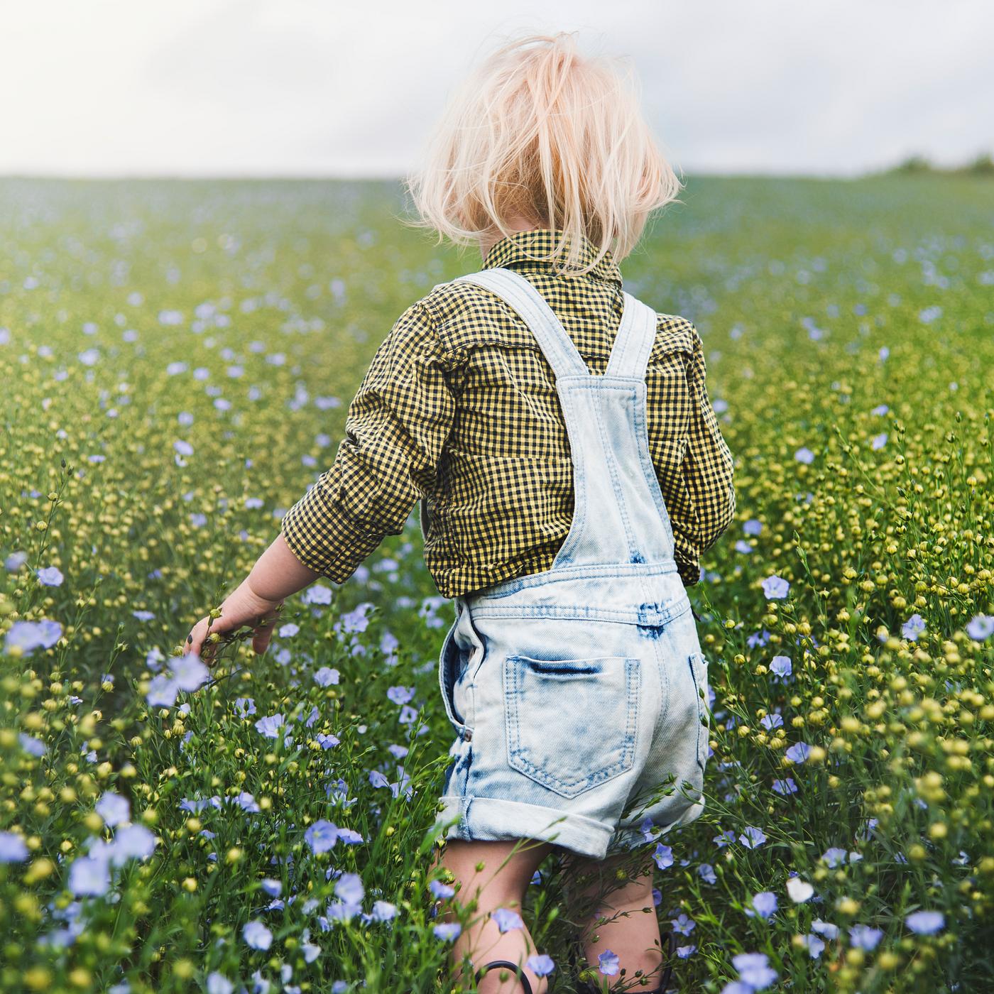 Kid in the garden - flower, alone, backyard, bloom, blooming, blue, botanical, botany, boy, cheerful, child, children,... Kid in the garden - flower, alone, backyard, bloom, blooming, blue, botanical, botany, boy, cheerful, child, children,...