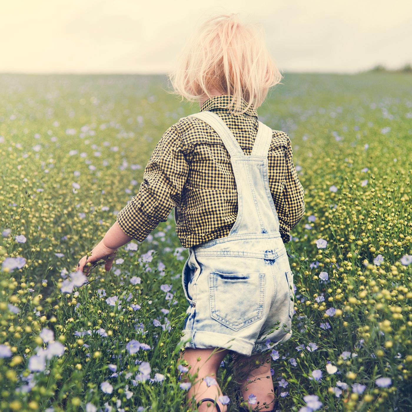 arboretum, backyard, bloom, blooming, botanical, botany, boy, country, countryside, cultivate, cultivating, field, flora,... arboretum, backyard, bloom, blooming, botanical, botany, boy, country, countryside, cultivate, cultivating, field, flora,...