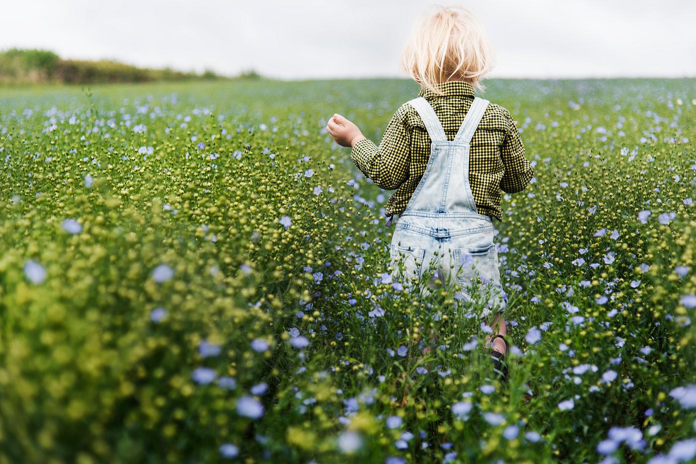 arboretum, backyard, bloom, blooming, botanical, botany, boy, country, countryside, cultivate, cultivating, field, flora,... arboretum, backyard, bloom, blooming, botanical, botany, boy, country, countryside, cultivate, cultivating, field, flora,...