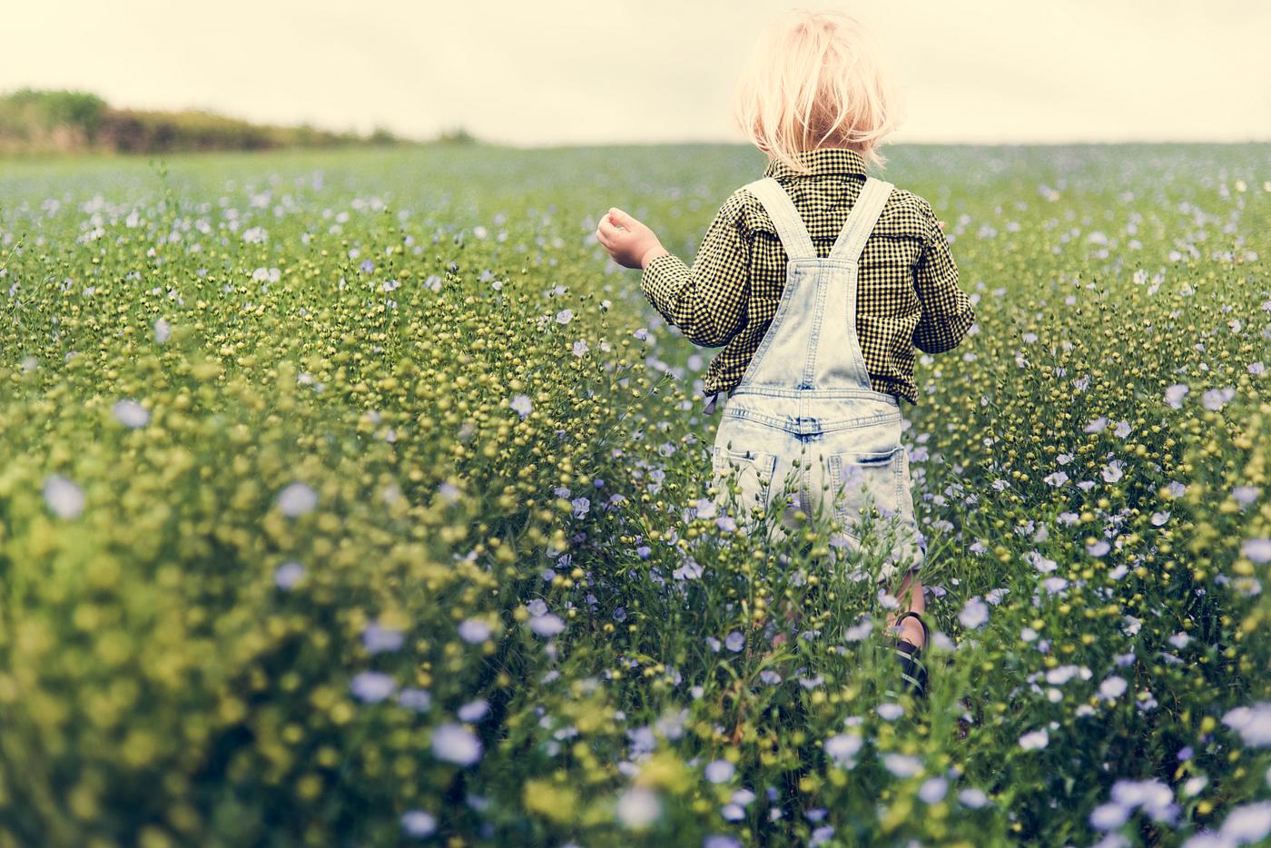 arboretum, backyard, bloom, blooming, botanical, botany, boy, country, countryside, cultivate, cultivating, field, flora,... arboretum, backyard, bloom, blooming, botanical, botany, boy, country, countryside, cultivate, cultivating, field, flora,...