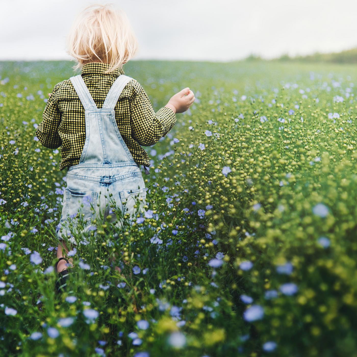 arboretum, backyard, bloom, blooming, blue, botanical, botany, boy, child, children, country, countryside, cultivate,... arboretum, backyard, bloom, blooming, blue, botanical, botany, boy, child, children, country, countryside, cultivate,...