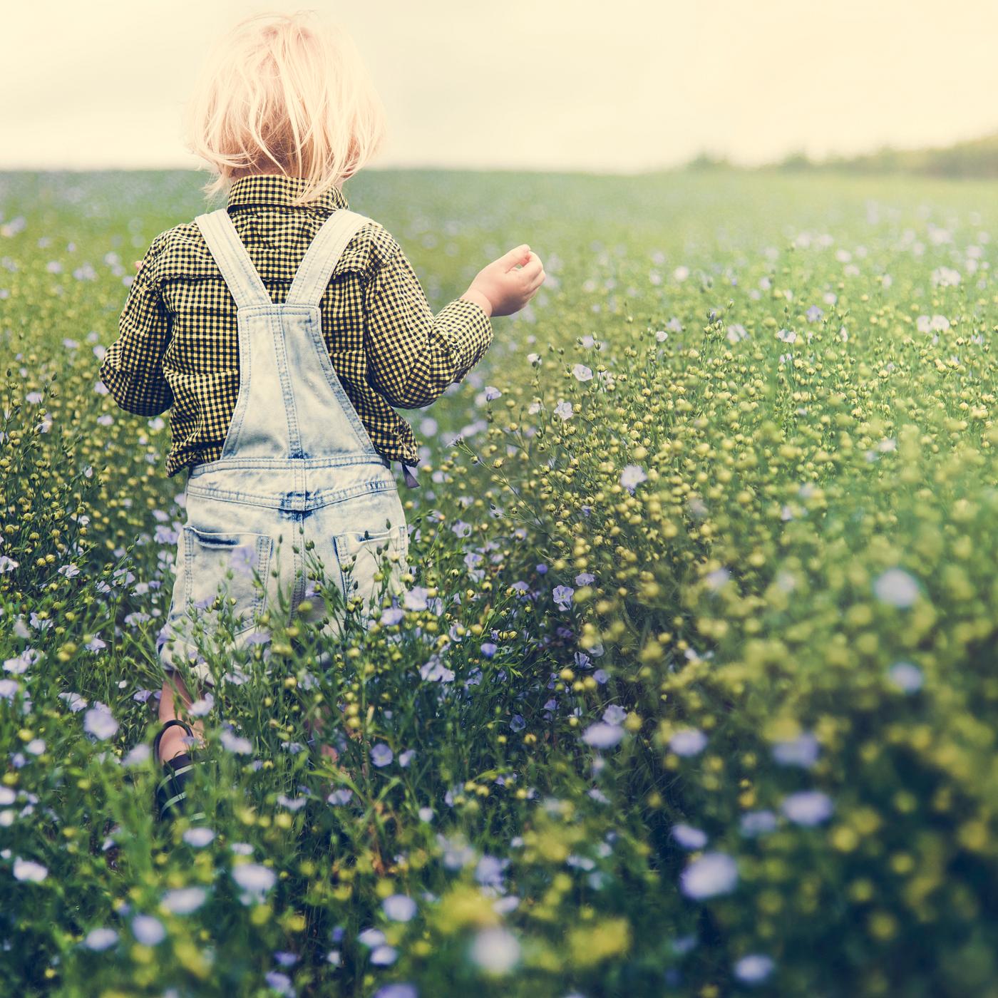arboretum, backyard, bloom, blooming, botanical, botany, boy, country, countryside, cultivate, cultivating, field, flora,... arboretum, backyard, bloom, blooming, botanical, botany, boy, country, countryside, cultivate, cultivating, field, flora,...