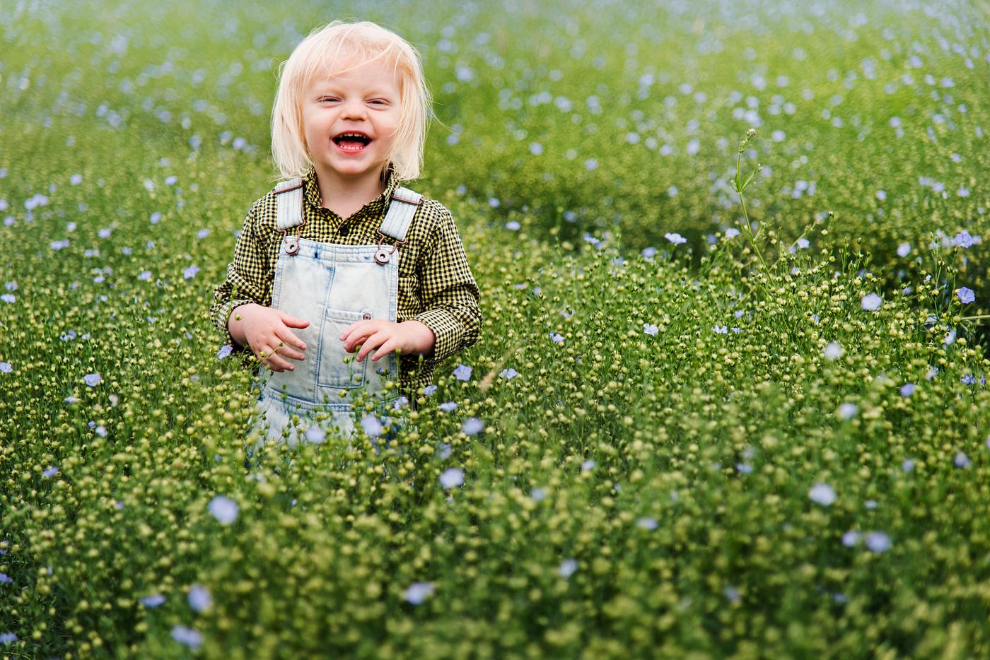 flower, grow, arboretum, backyard, bloom, blooming, blue, bluebells, botanical, botany, boy, child, children, country,... flower, grow, arboretum, backyard, bloom, blooming, blue, bluebells, botanical, botany, boy, child, children, country,...