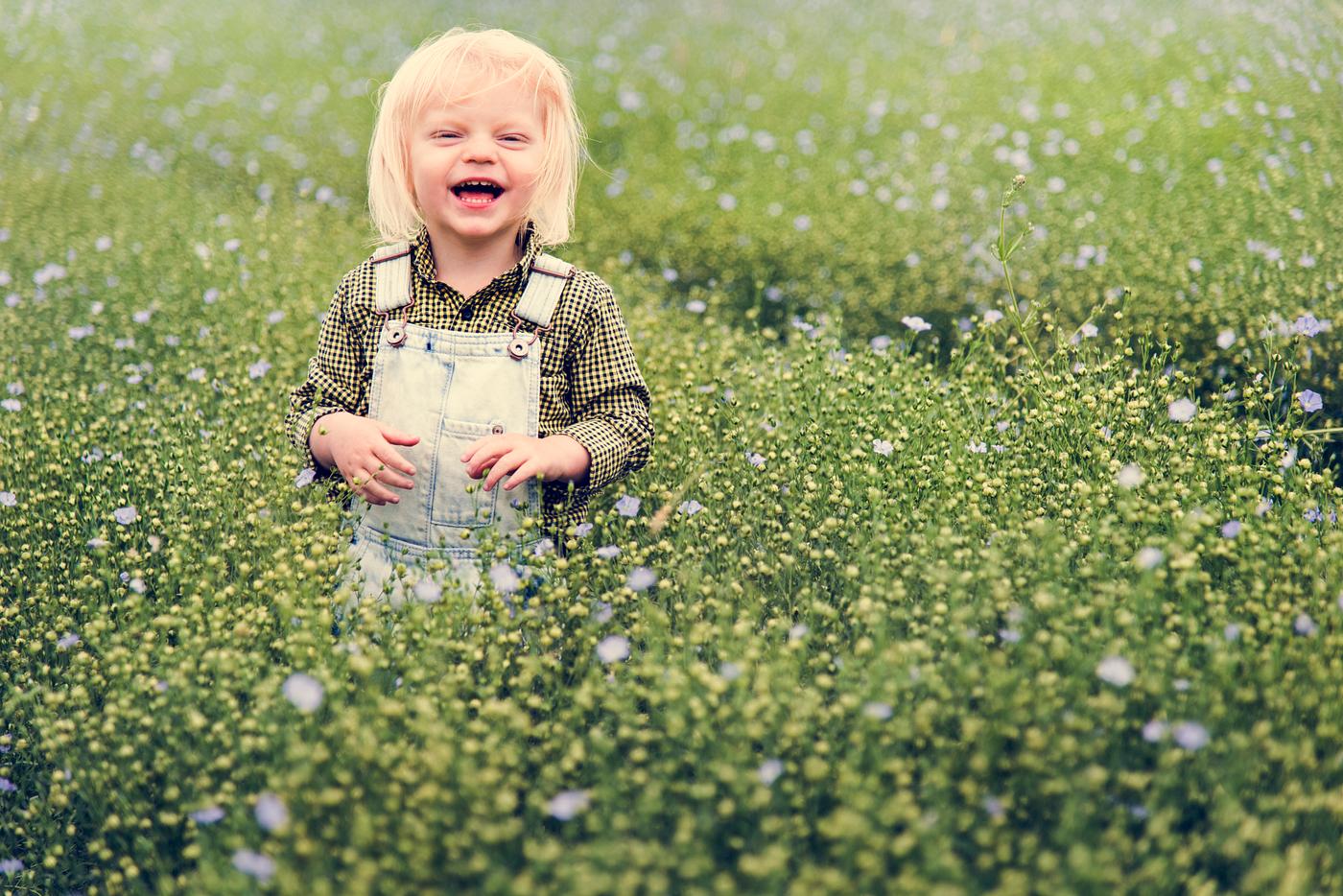 arboretum, backyard, bloom, blooming, botanical, botany, boy, country, countryside, cultivate, cultivating, field, flora,... arboretum, backyard, bloom, blooming, botanical, botany, boy, country, countryside, cultivate, cultivating, field, flora,...