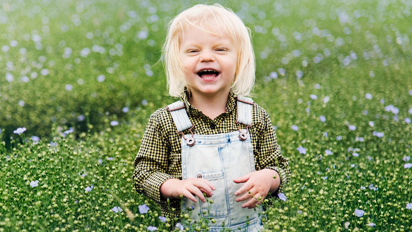 arboretum, backyard, bloom, blooming, botanical, botany, boy, country, countryside, cultivate, cultivating, field, flora,... arboretum, backyard, bloom, blooming, botanical, botany, boy, country, countryside, cultivate, cultivating, field, flora,...