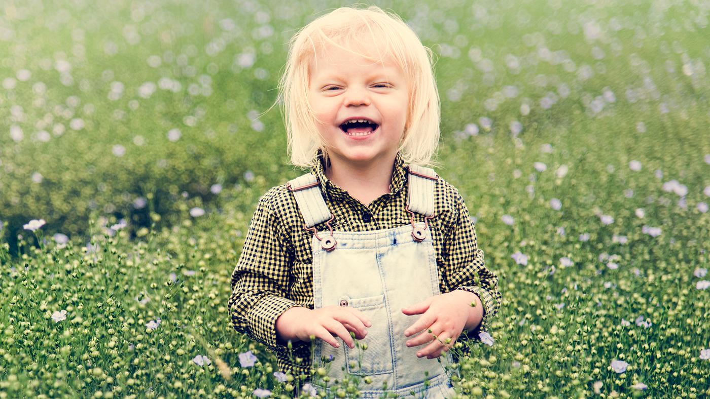 arboretum, backyard, bloom, blooming, botanical, botany, boy, country, countryside, cultivate, cultivating, field, flora,... arboretum, backyard, bloom, blooming, botanical, botany, boy, country, countryside, cultivate, cultivating, field, flora,...