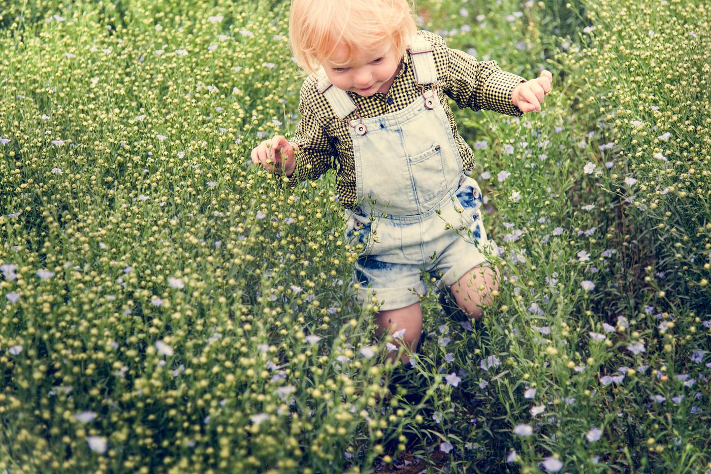 arboretum, backyard, bloom, blooming, botanical, botany, boy, country, countryside, cultivate, cultivating, field, flora,... arboretum, backyard, bloom, blooming, botanical, botany, boy, country, countryside, cultivate, cultivating, field, flora,...