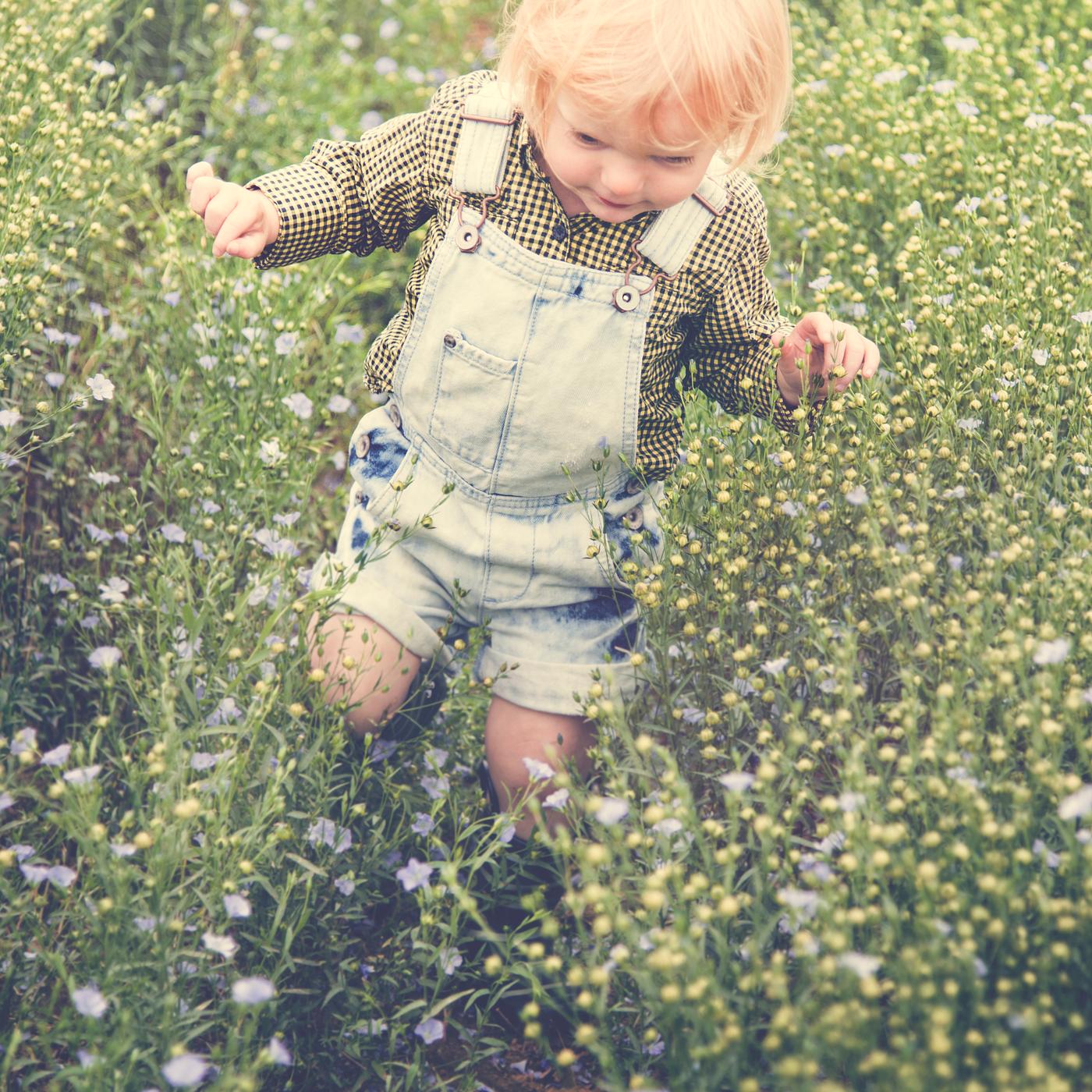 arboretum, backyard, bloom, blooming, botanical, botany, boy, country, countryside, cultivate, cultivating, field, flora,... arboretum, backyard, bloom, blooming, botanical, botany, boy, country, countryside, cultivate, cultivating, field, flora,...