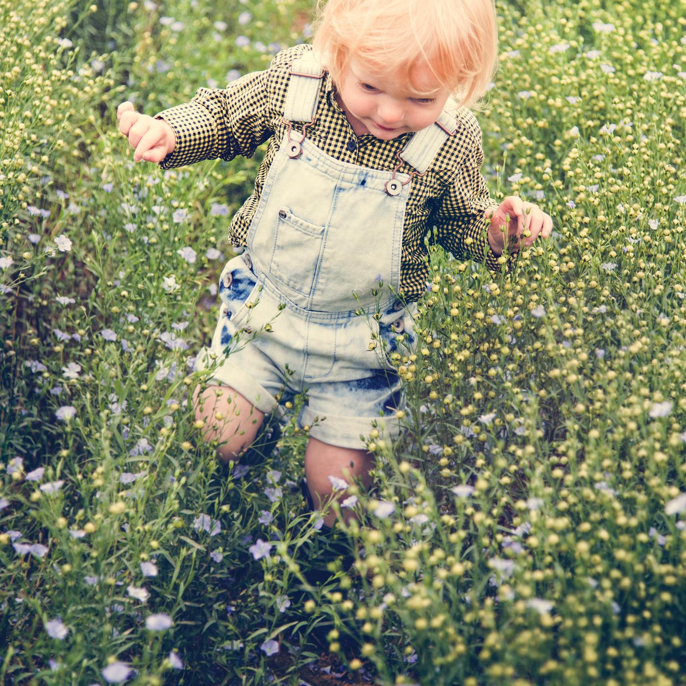 arboretum, backyard, bloom, blooming, botanical, botany, boy, country, countryside, cultivate, cultivating, field, flora,... arboretum, backyard, bloom, blooming, botanical, botany, boy, country, countryside, cultivate, cultivating, field, flora,...