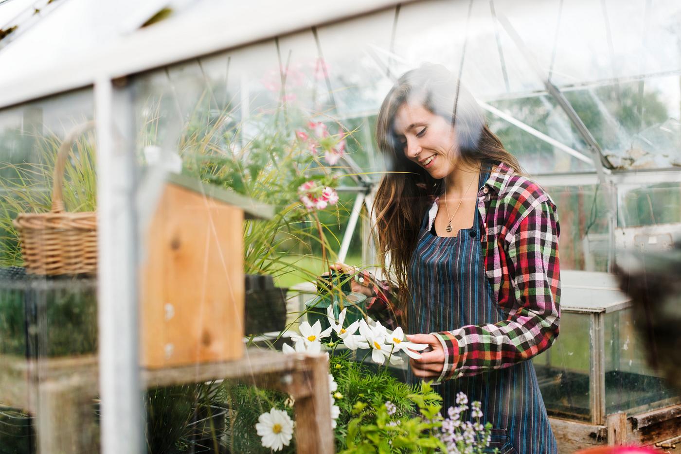 arboretum, backyard, bloom, blooming, botanical, botany, country, countryside, cultivate, cultivating, flora, garden,... arboretum, backyard, bloom, blooming, botanical, botany, country, countryside, cultivate, cultivating, flora, garden,...
