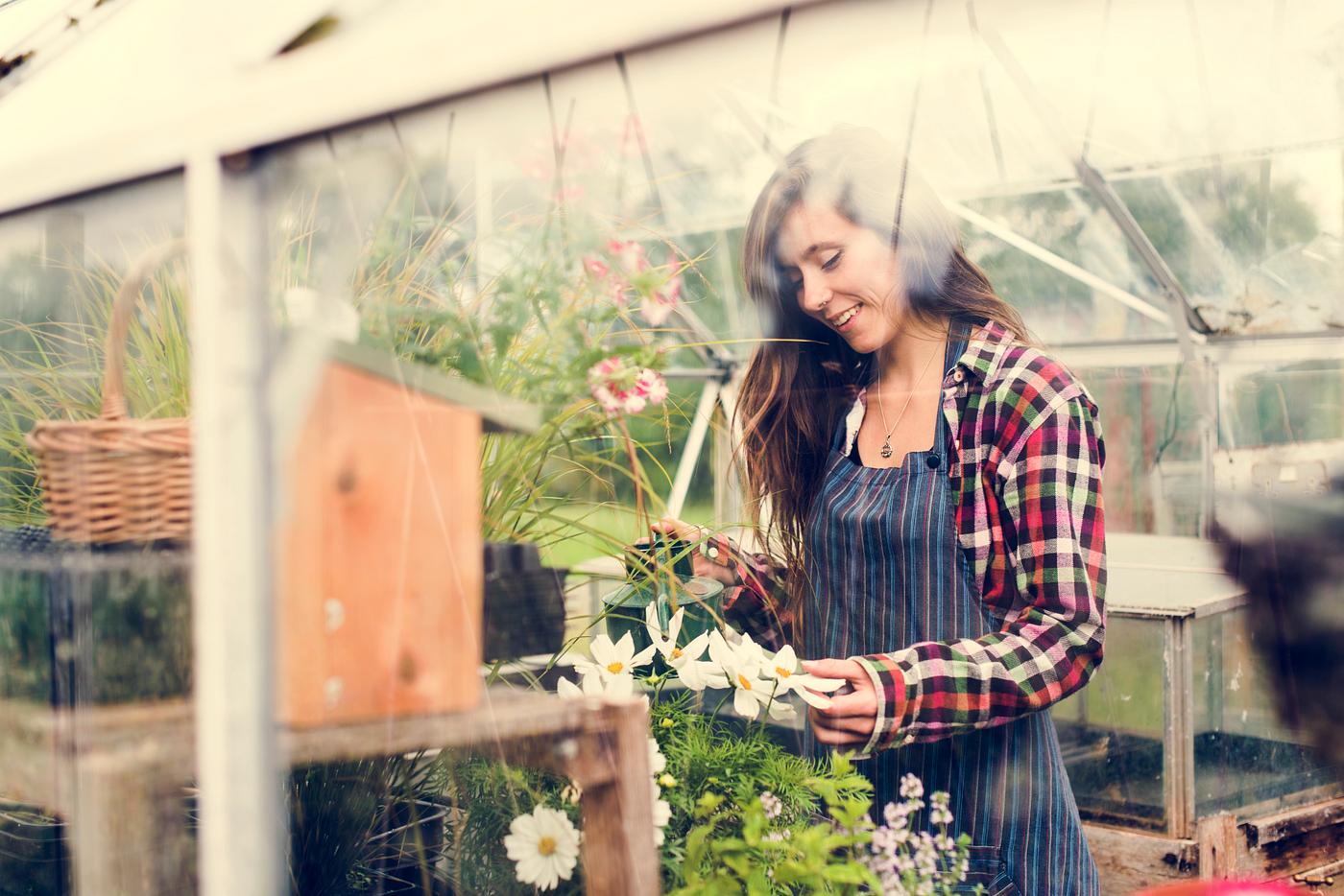 arboretum, backyard, bloom, blooming, botanical, botany, country, countryside, cultivate, cultivating, flora, garden,... arboretum, backyard, bloom, blooming, botanical, botany, country, countryside, cultivate, cultivating, flora, garden,...