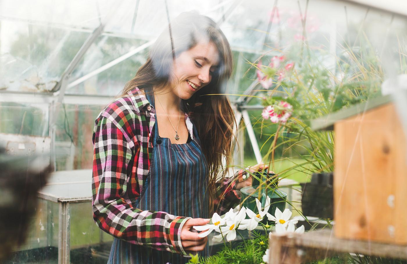 arboretum, backyard, bloom, blooming, botanical, botany, country, countryside, cultivate, cultivating, flora, garden,... arboretum, backyard, bloom, blooming, botanical, botany, country, countryside, cultivate, cultivating, flora, garden,...
