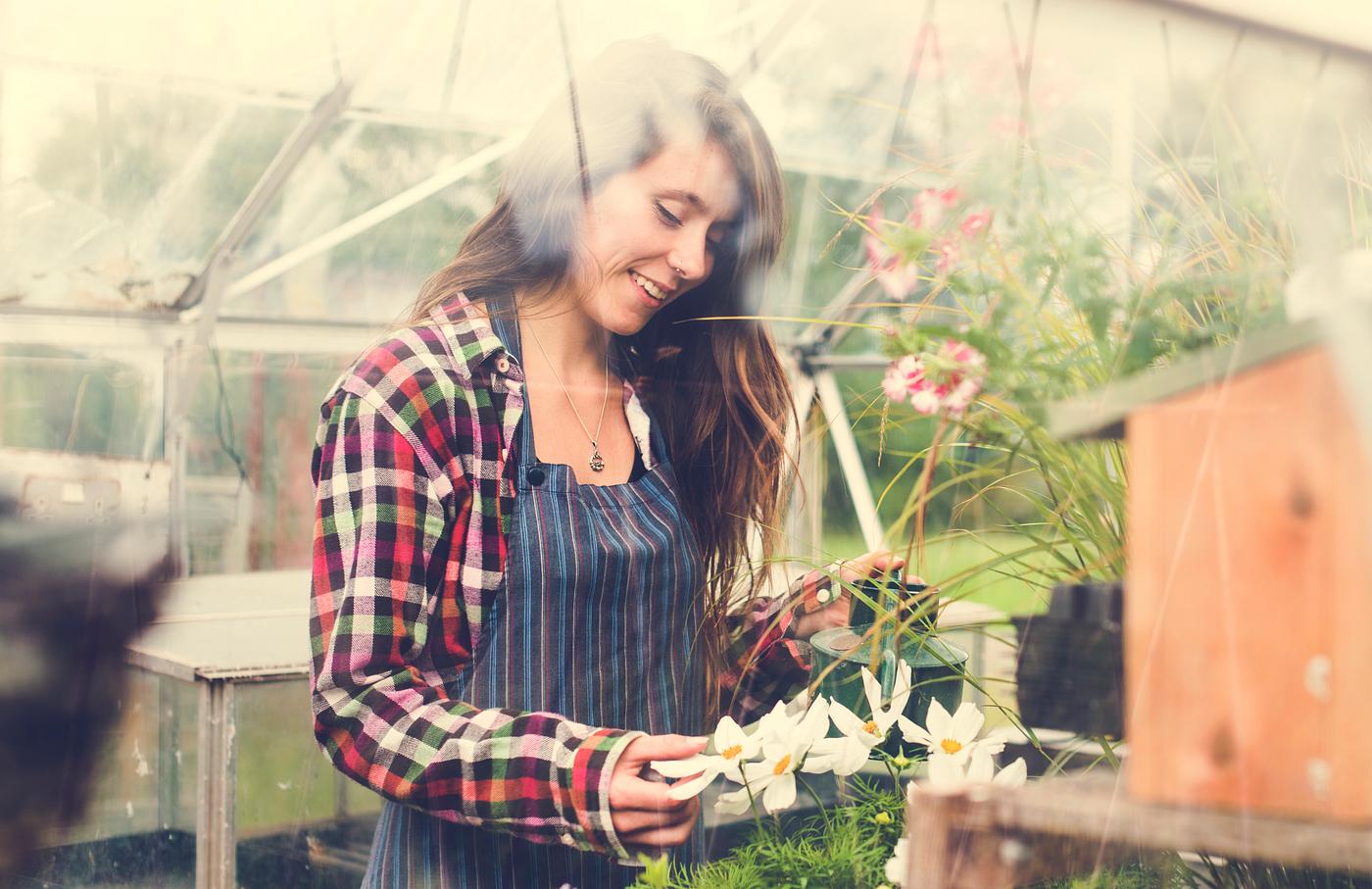 arboretum, backyard, bloom, blooming, botanical, botany, country, countryside, cultivate, cultivating, flora, garden,... arboretum, backyard, bloom, blooming, botanical, botany, country, countryside, cultivate, cultivating, flora, garden,...