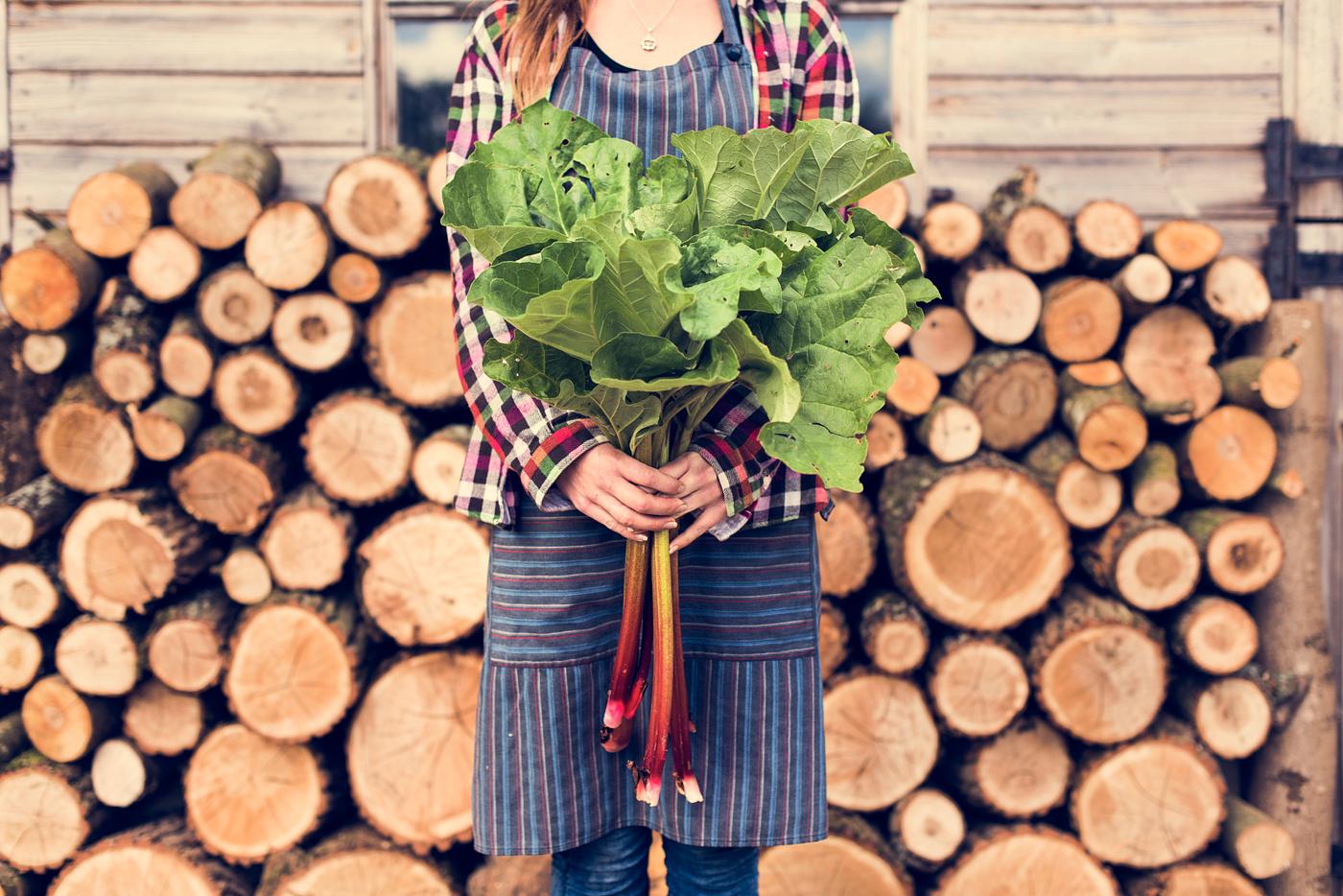 chopped, countryside, cut, farmer, firewood, fresh, gardener, log, lumber, nature, organic, people, pile, resource, stack,... chopped, countryside, cut, farmer, firewood, fresh, gardener, log, lumber, nature, organic, people, pile, resource, stack,...