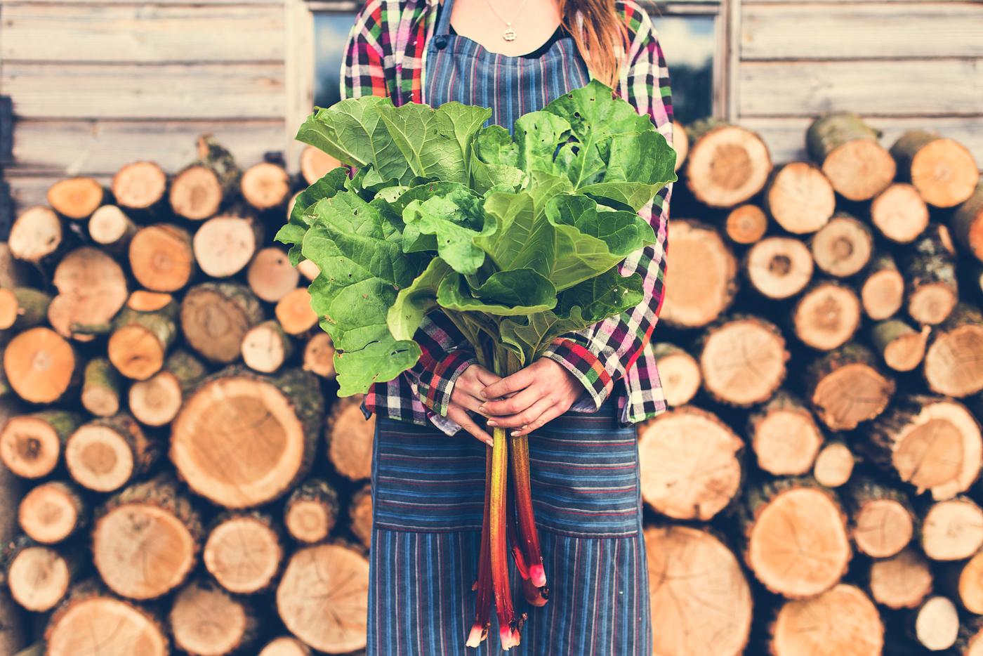 farmer, chopped, countryside, cut, firewood, fuelwood, gardener, heap, log, lumber, lumberyard, nature, pile, piled,... farmer, chopped, countryside, cut, firewood, fuelwood, gardener, heap, log, lumber, lumberyard, nature, pile, piled,...