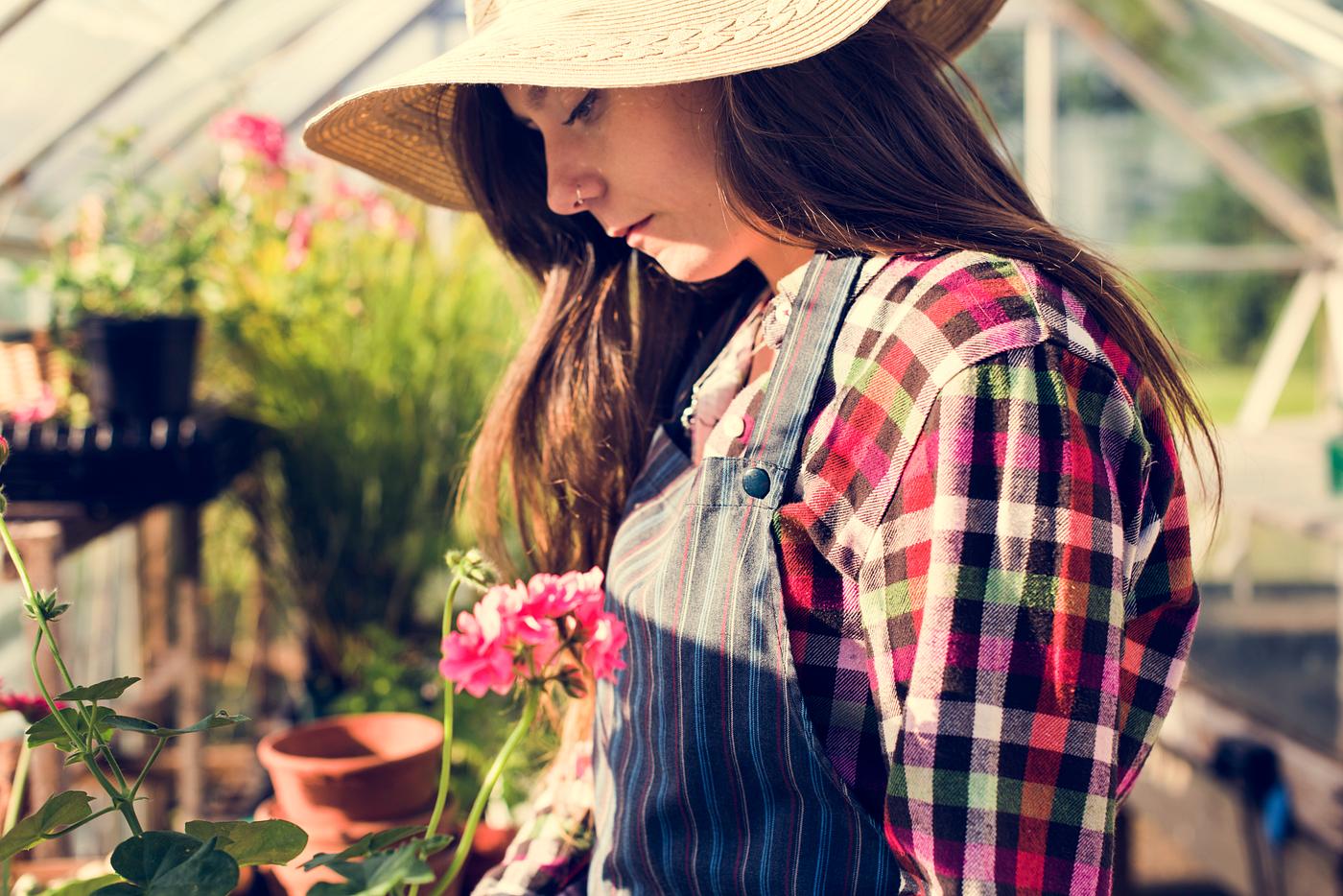 arboretum, backyard, bloom, blooming, botanical, botany, country, countryside, cultivate, cultivating, flora, garden,... arboretum, backyard, bloom, blooming, botanical, botany, country, countryside, cultivate, cultivating, flora, garden,...