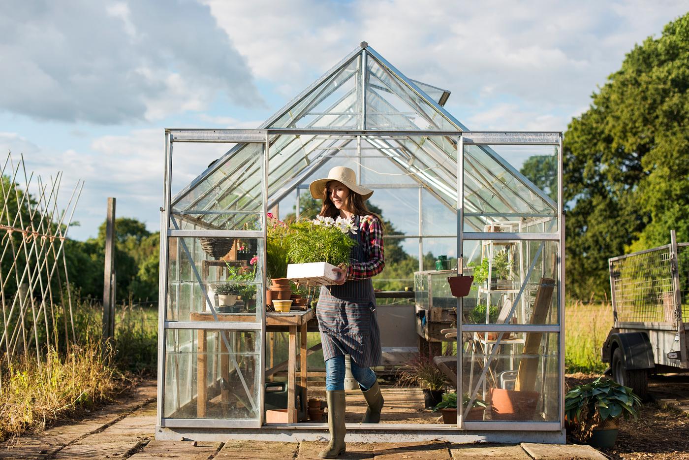 arboretum, backyard, bloom, blooming, botanical, botany, country, countryside, cultivate, cultivating, flora, garden,... arboretum, backyard, bloom, blooming, botanical, botany, country, countryside, cultivate, cultivating, flora, garden,...
