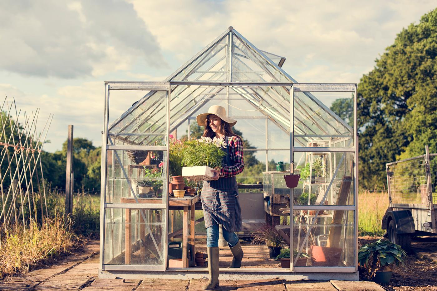 arboretum, backyard, bloom, blooming, botanical, botany, country, countryside, cultivate, cultivating, flora, garden,... arboretum, backyard, bloom, blooming, botanical, botany, country, countryside, cultivate, cultivating, flora, garden,...