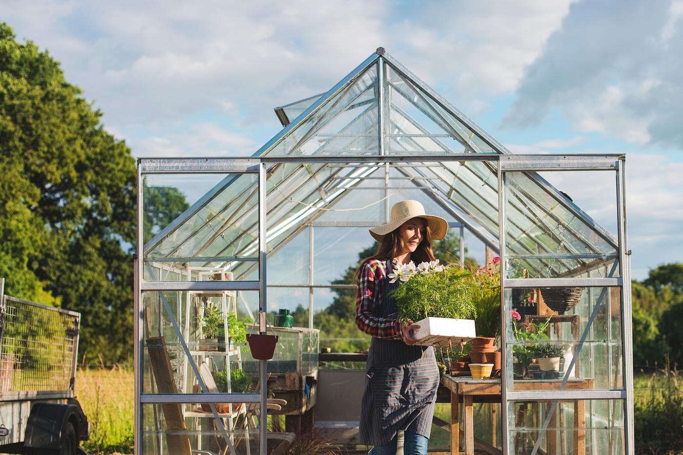 Young woman in the glass greenhouse Young woman in the glass greenhouse