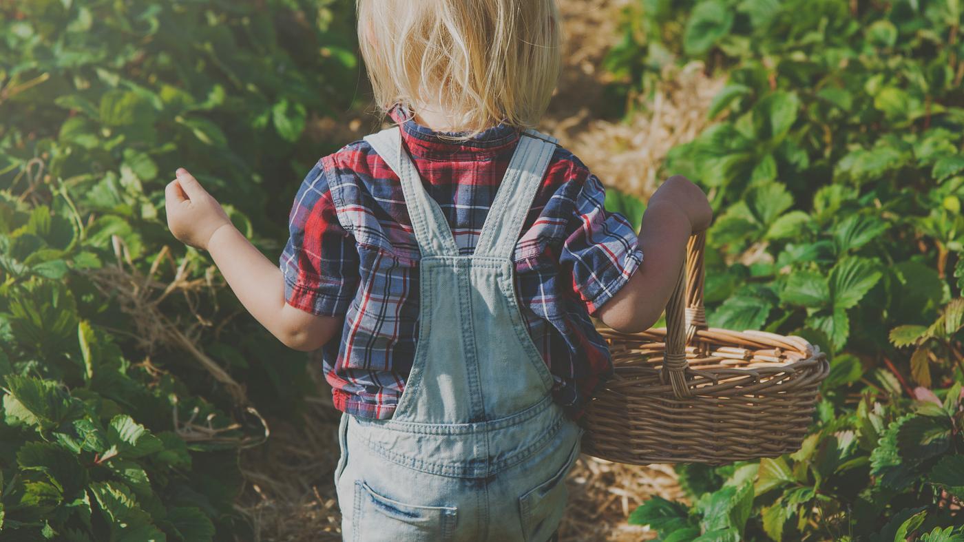 arboretum, backyard, bloom, blooming, botanical, botany, boy, country, countryside, cultivate, cultivating, field, flora,... arboretum, backyard, bloom, blooming, botanical, botany, boy, country, countryside, cultivate, cultivating, field, flora,...