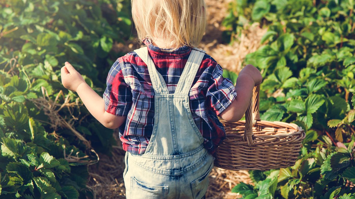 arboretum, backyard, bloom, blooming, botanical, botany, boy, country, countryside, cultivate, cultivating, field, flora,... arboretum, backyard, bloom, blooming, botanical, botany, boy, country, countryside, cultivate, cultivating, field, flora,...