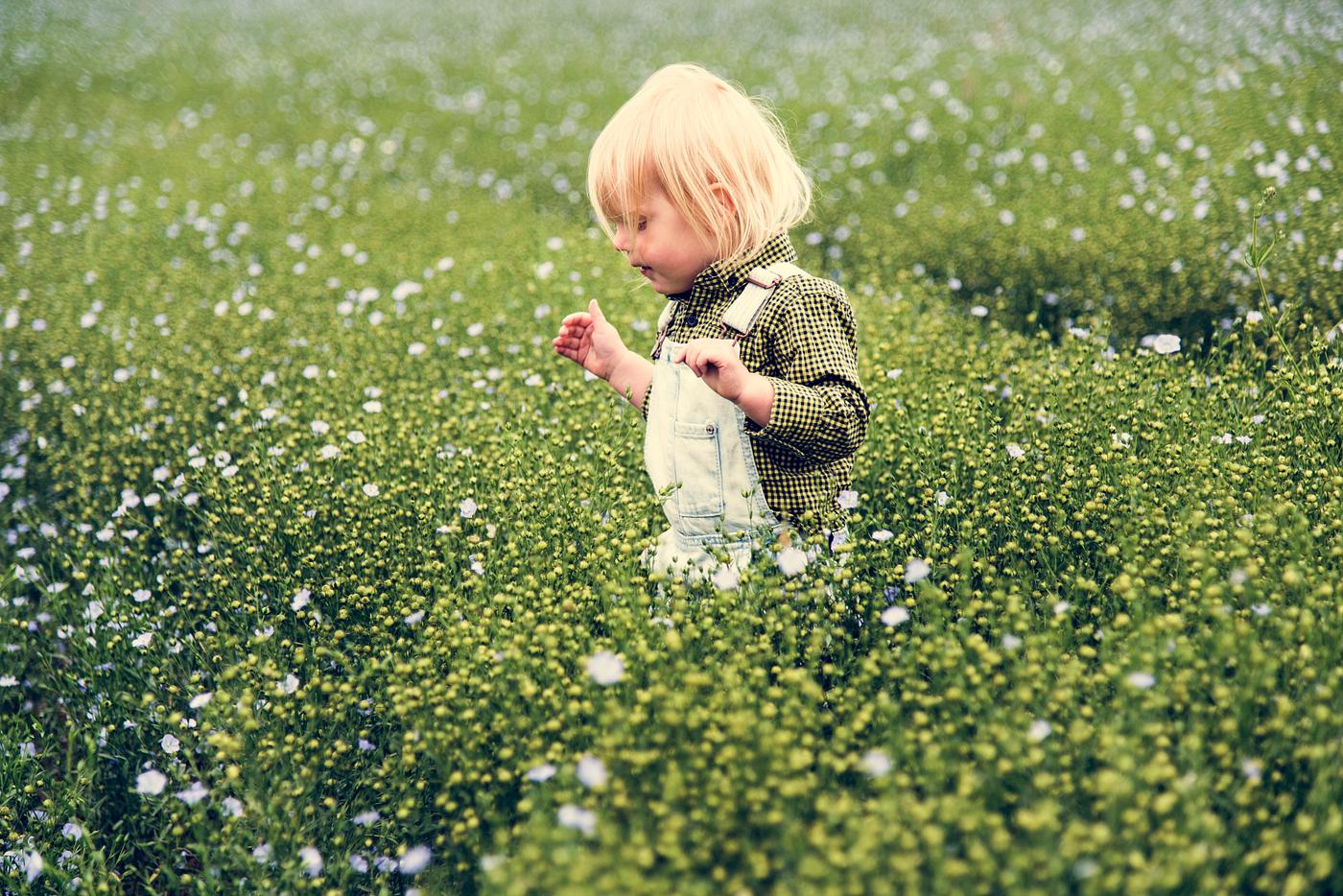 arboretum, backyard, bloom, blooming, botanical, botany, boy, country, countryside, cultivate, cultivating, field, flora,... arboretum, backyard, bloom, blooming, botanical, botany, boy, country, countryside, cultivate, cultivating, field, flora,...