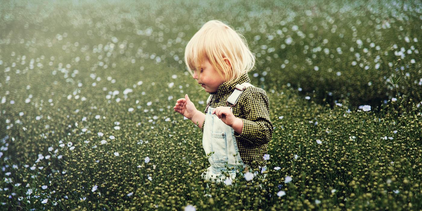 arboretum, backyard, bloom, blooming, botanical, botany, boy, child, country, countryside, cultivate, cultivating, field,... arboretum, backyard, bloom, blooming, botanical, botany, boy, child, country, countryside, cultivate, cultivating, field,...