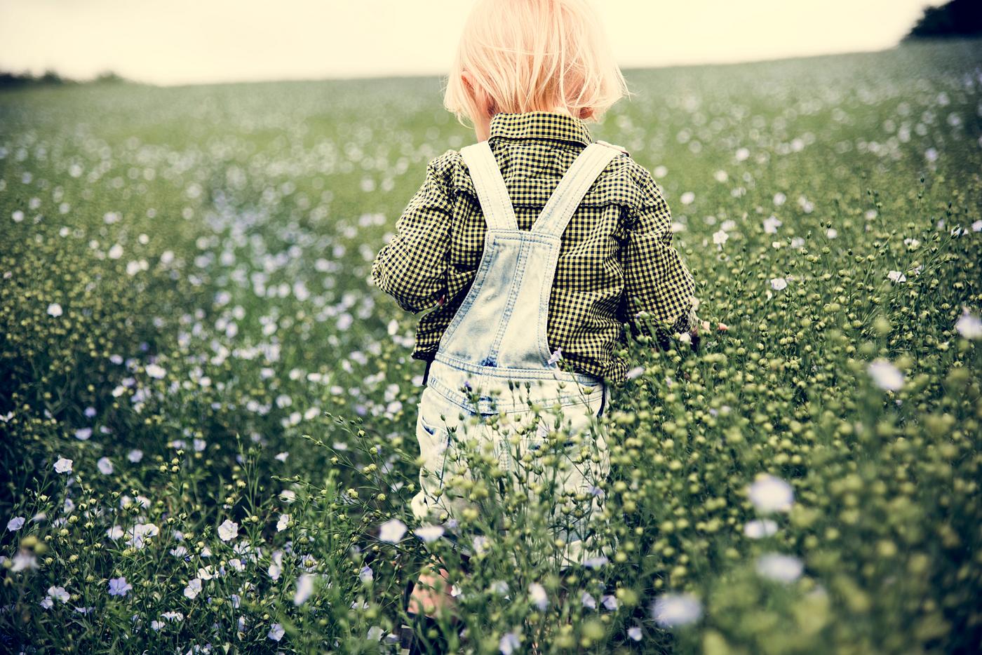 arboretum, backyard, bloom, blooming, botanical, botany, boy, country, countryside, cultivate, cultivating, field, flora,... arboretum, backyard, bloom, blooming, botanical, botany, boy, country, countryside, cultivate, cultivating, field, flora,...