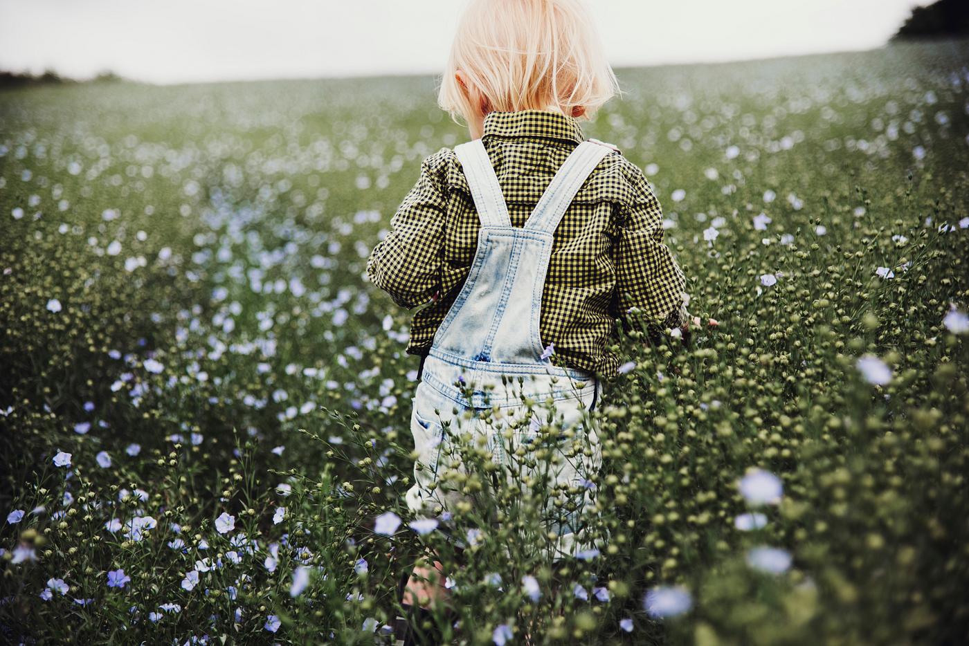arboretum, backyard, bloom, blooming, botanical, botany, boy, child, country, countryside, cultivate, cultivating, field,... arboretum, backyard, bloom, blooming, botanical, botany, boy, child, country, countryside, cultivate, cultivating, field,...
