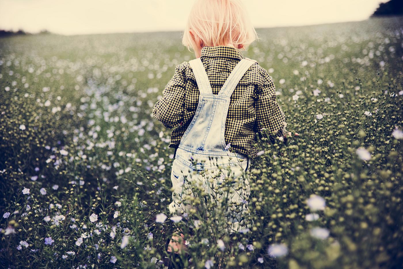 arboretum, backyard, bloom, blooming, botanical, botany, boy, child, country, countryside, cultivate, cultivating, field,... arboretum, backyard, bloom, blooming, botanical, botany, boy, child, country, countryside, cultivate, cultivating, field,...