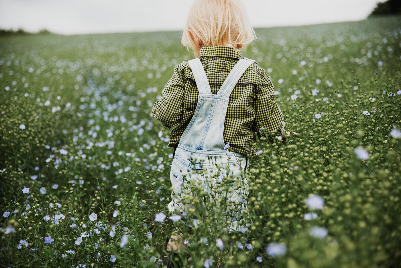 Kid in flower field - alone, backyard, bloom, blooming, botanical, botany, boy, caucasian, cheerful, countryside, cultivate... Kid in flower field - alone, backyard, bloom, blooming, botanical, botany, boy, caucasian, cheerful, countryside, cultivate...