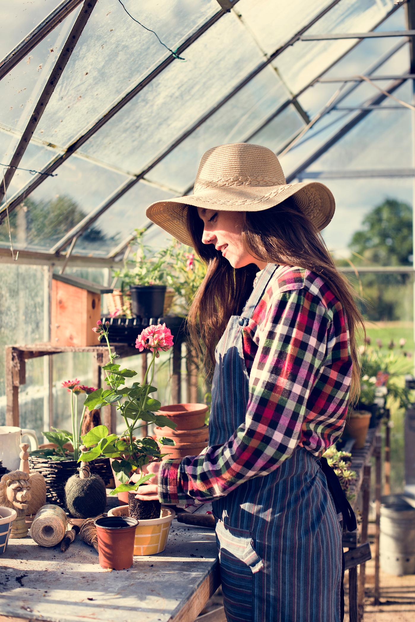 arboretum, backyard, bloom, blooming, botanical, botany, country, countryside, cultivate, cultivating, flora, garden,... arboretum, backyard, bloom, blooming, botanical, botany, country, countryside, cultivate, cultivating, flora, garden,...