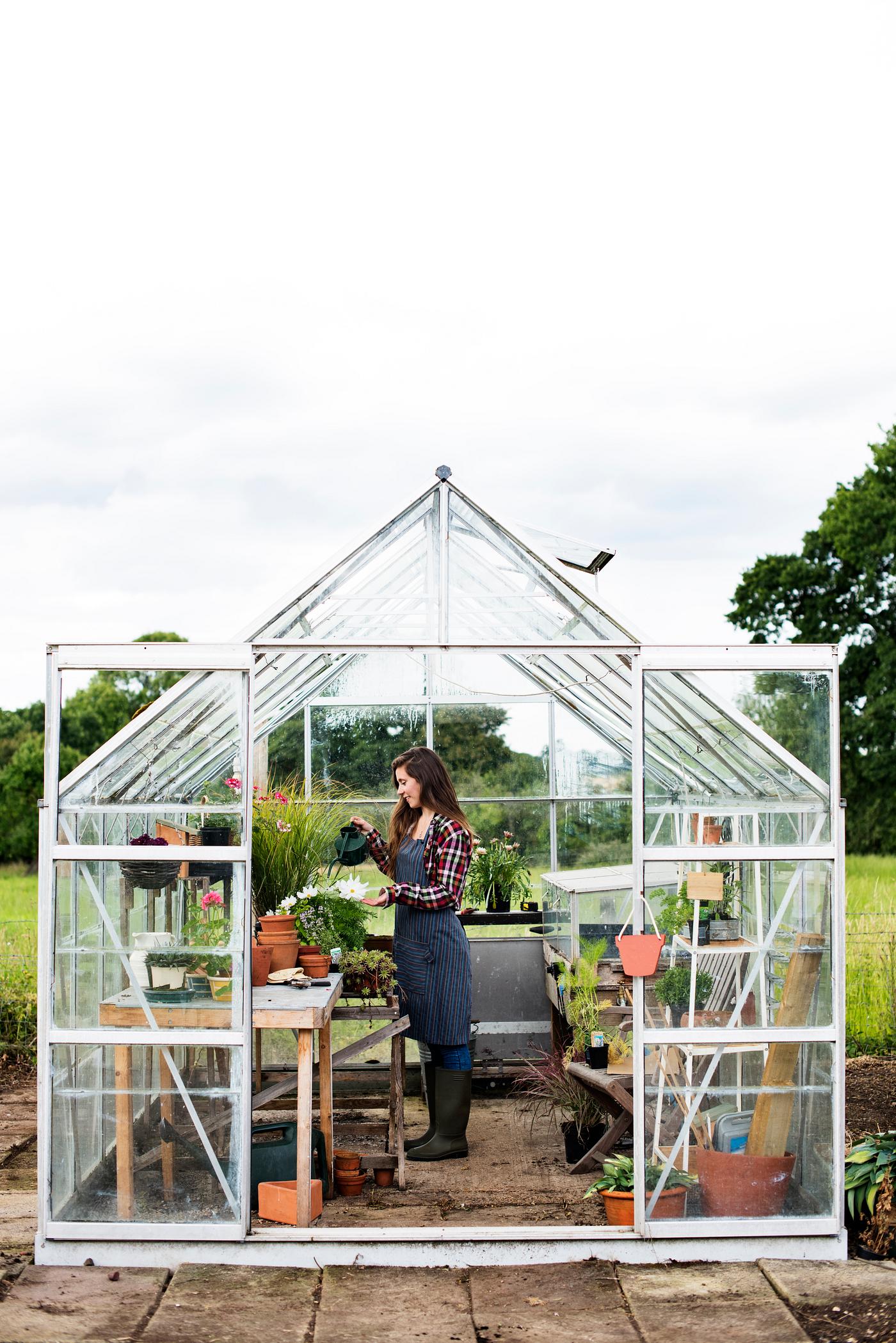 arboretum, backyard, bloom, blooming, botanical, botany, country, countryside, cultivate, cultivating, flora, garden,... arboretum, backyard, bloom, blooming, botanical, botany, country, countryside, cultivate, cultivating, flora, garden,...
